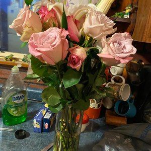 Meet your Posher, Renee